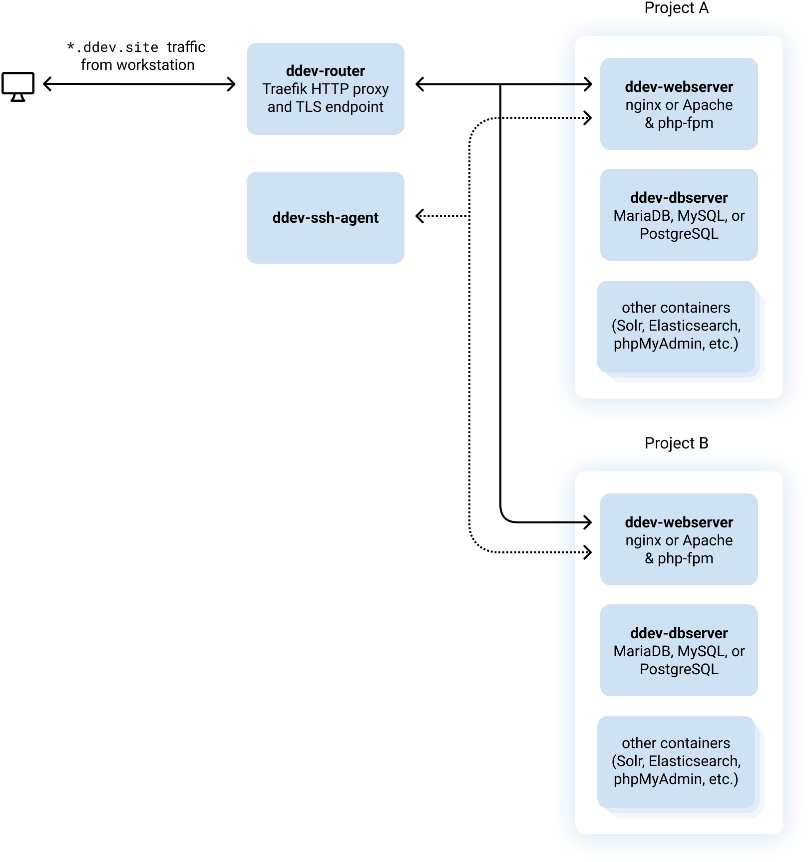 DDEV Container Architecture